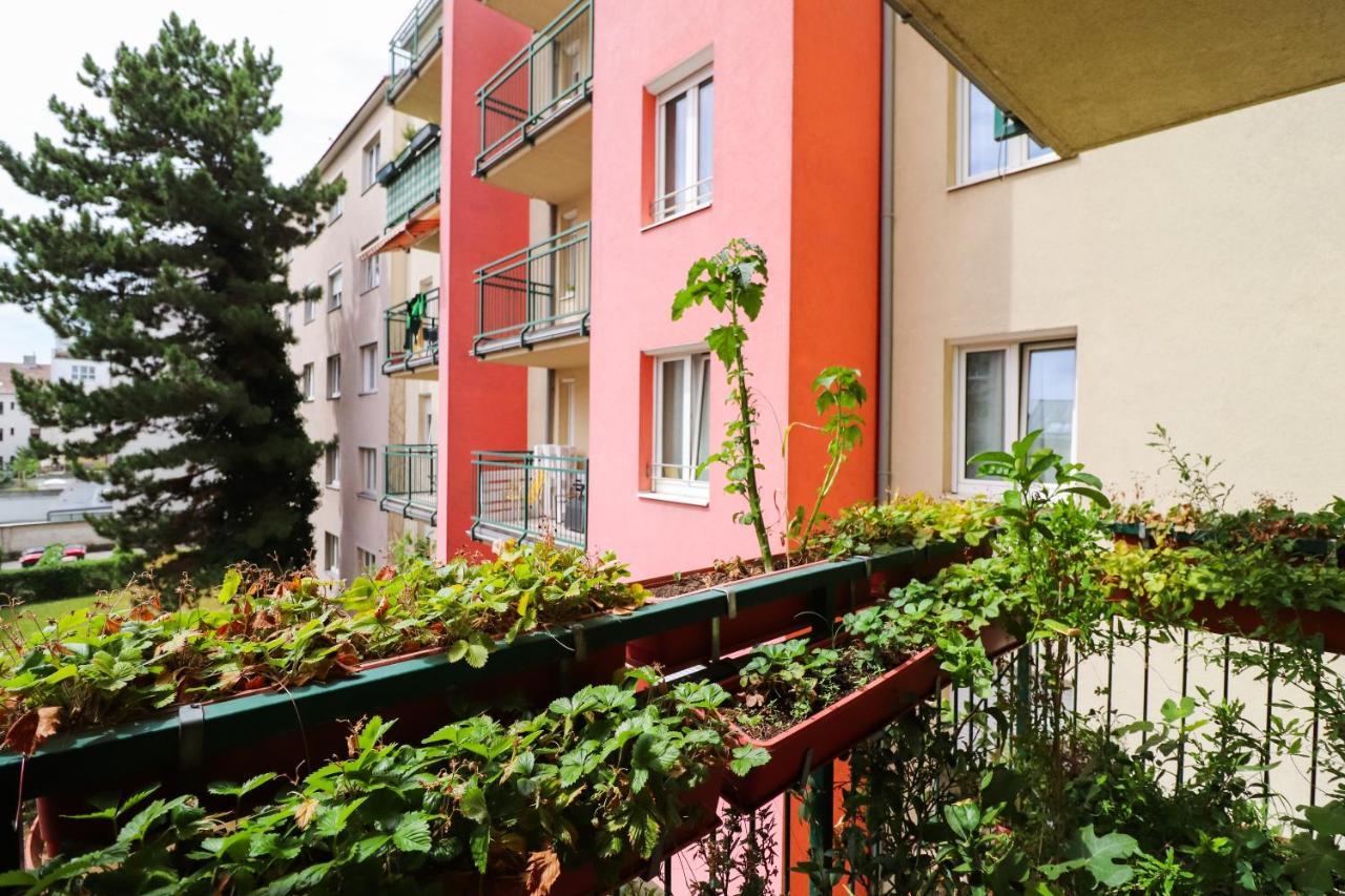 וינה Cozynite Premium Apartment Schoenbrunn 2 מראה חיצוני תמונה